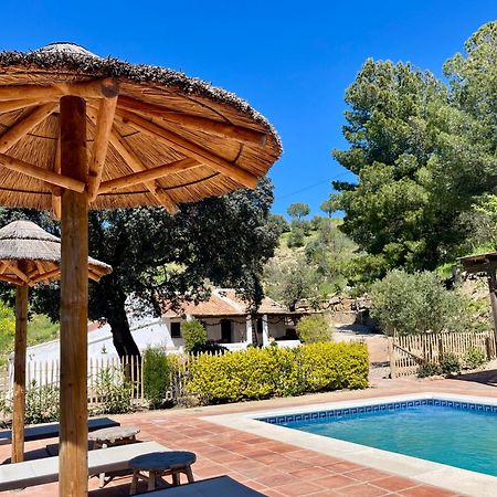 Finca El Sueno Andaluz Villanueva de la Concepción Eksteriør billede