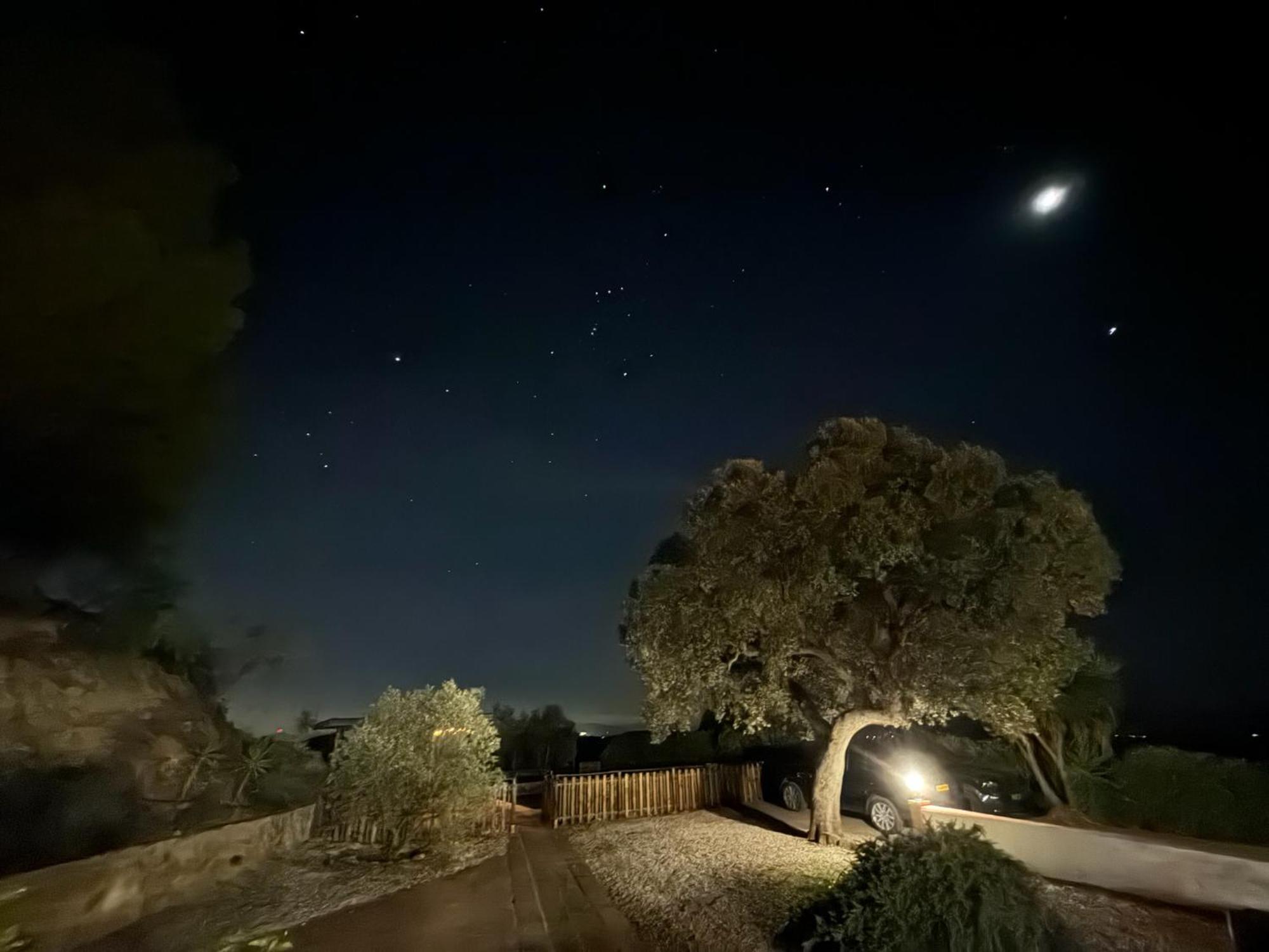 Finca El Sueno Andaluz Villanueva de la Concepción Eksteriør billede