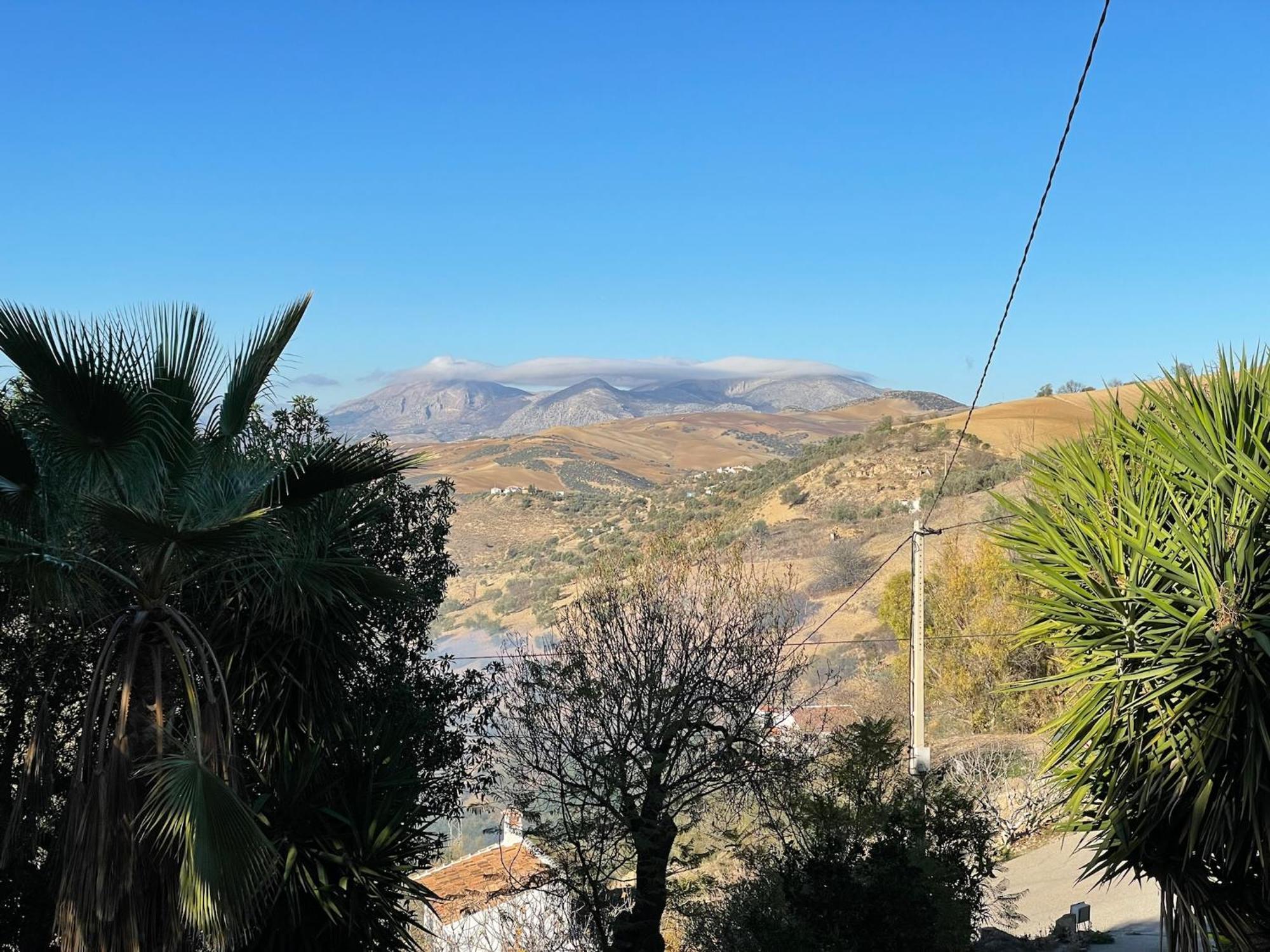 Finca El Sueno Andaluz Villanueva de la Concepción Eksteriør billede