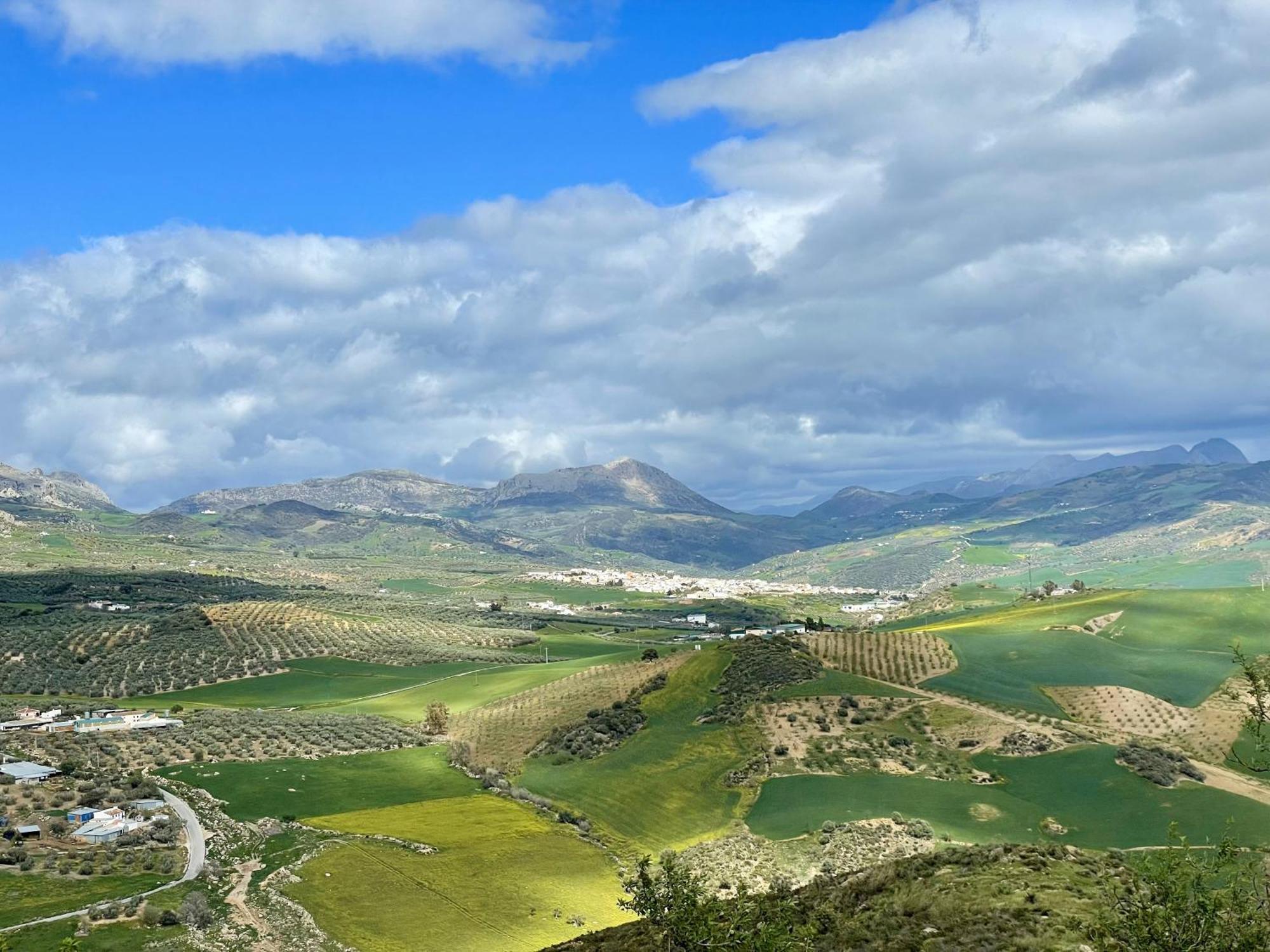 Finca El Sueno Andaluz Villanueva de la Concepción Eksteriør billede