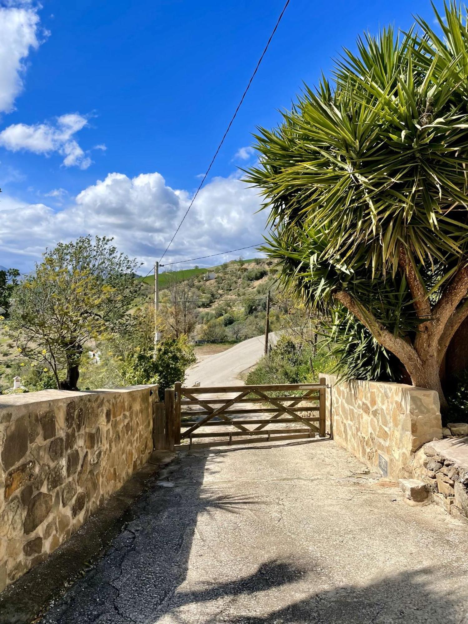 Finca El Sueno Andaluz Villanueva de la Concepción Eksteriør billede