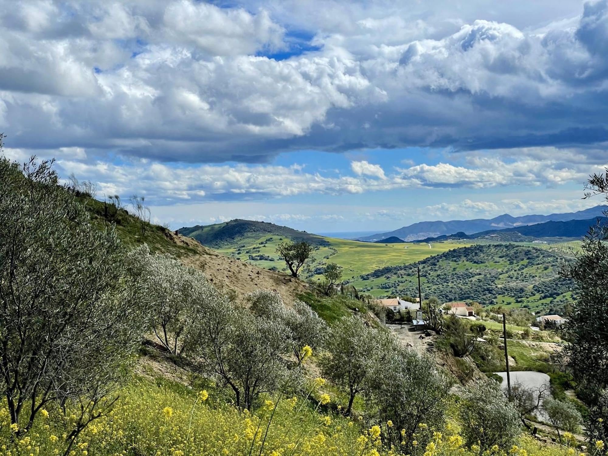 Finca El Sueno Andaluz Villanueva de la Concepción Eksteriør billede