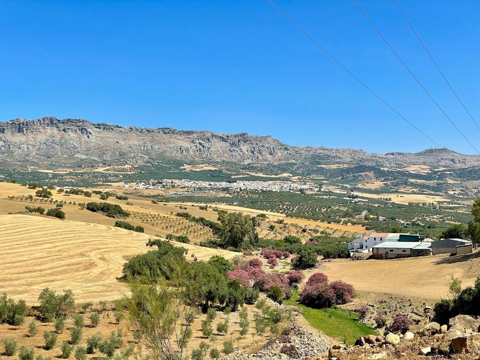 Finca El Sueno Andaluz Villanueva de la Concepción Eksteriør billede