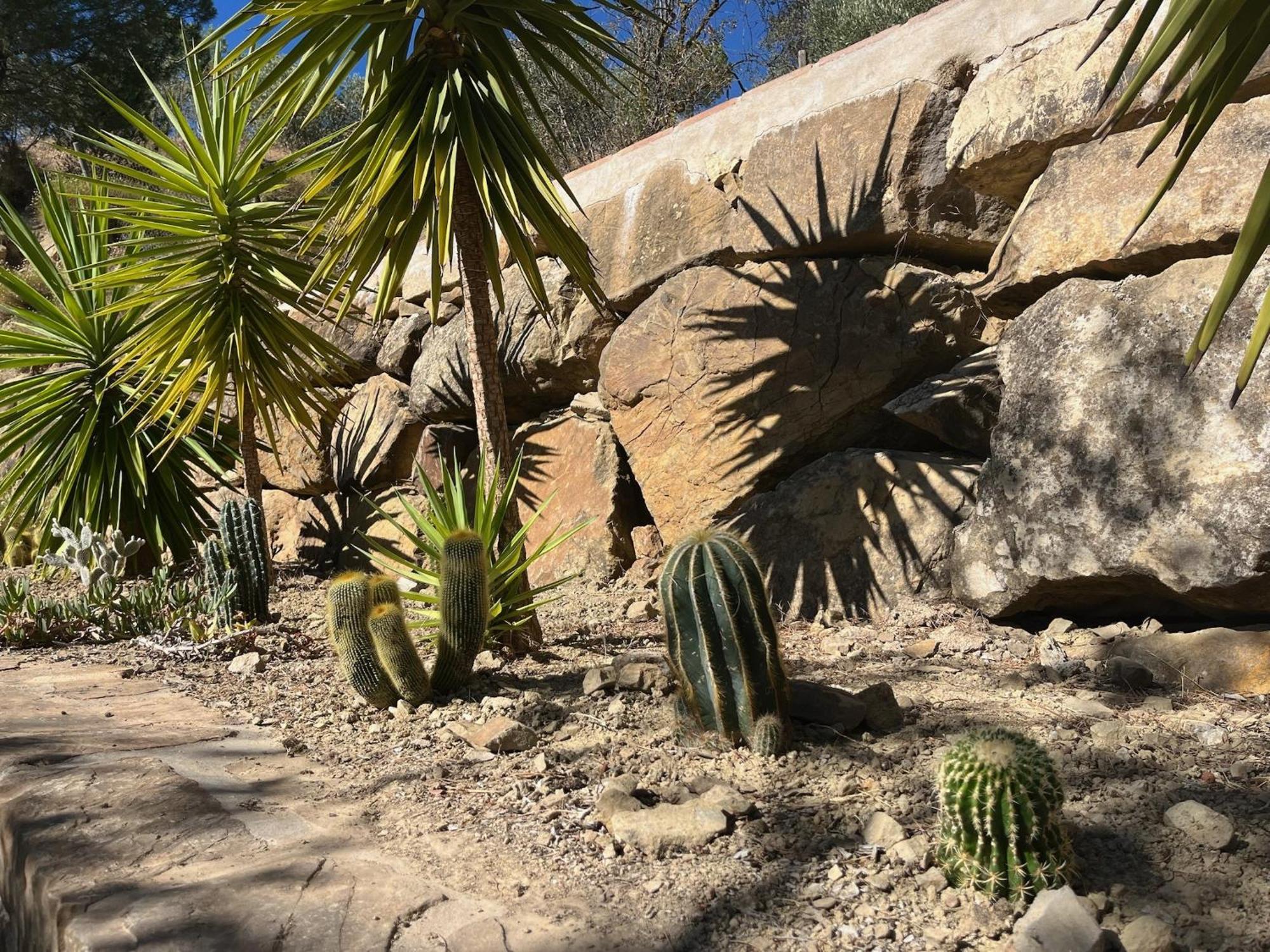 Finca El Sueno Andaluz Villanueva de la Concepción Eksteriør billede