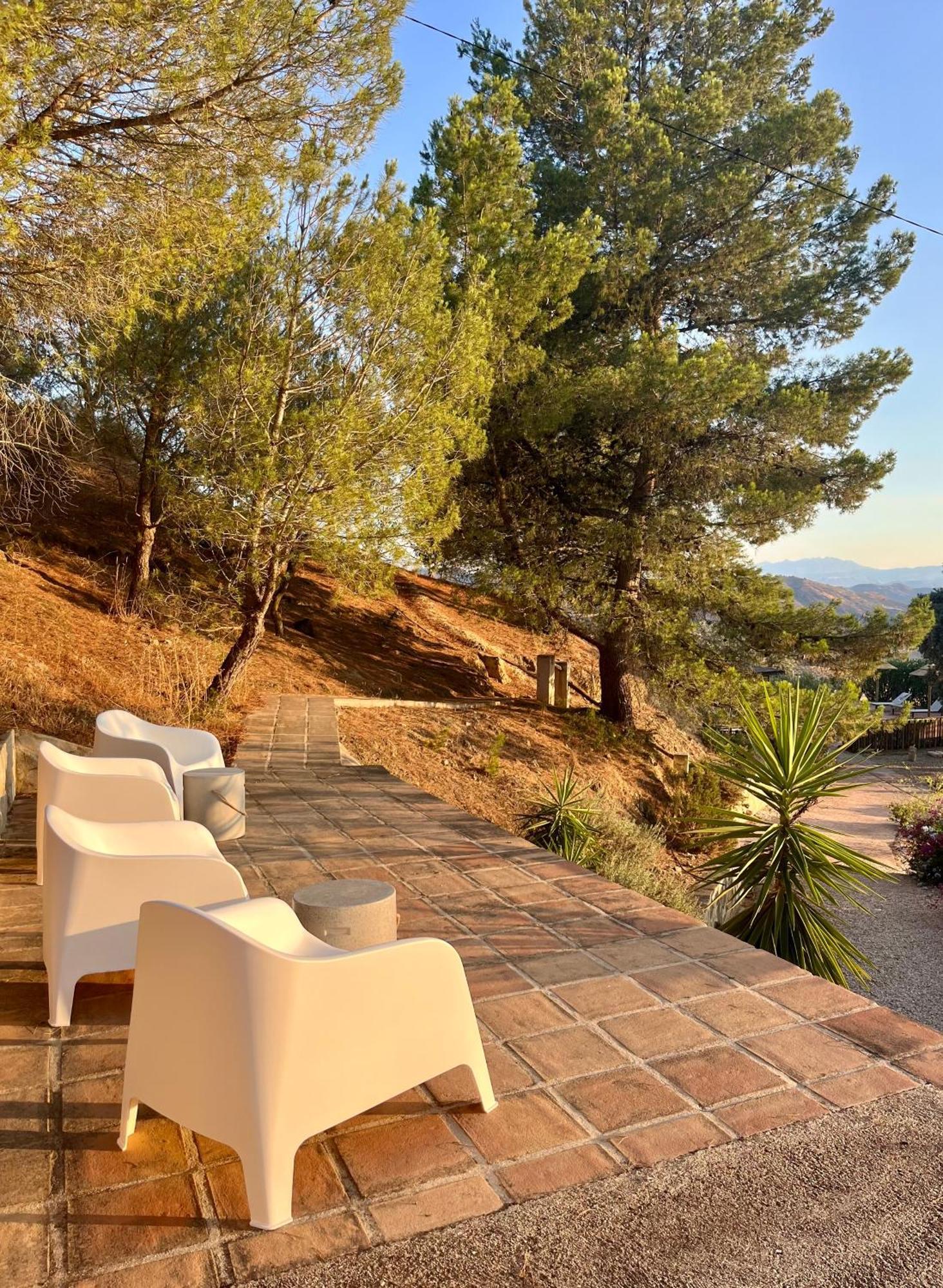 Finca El Sueno Andaluz Villanueva de la Concepción Eksteriør billede