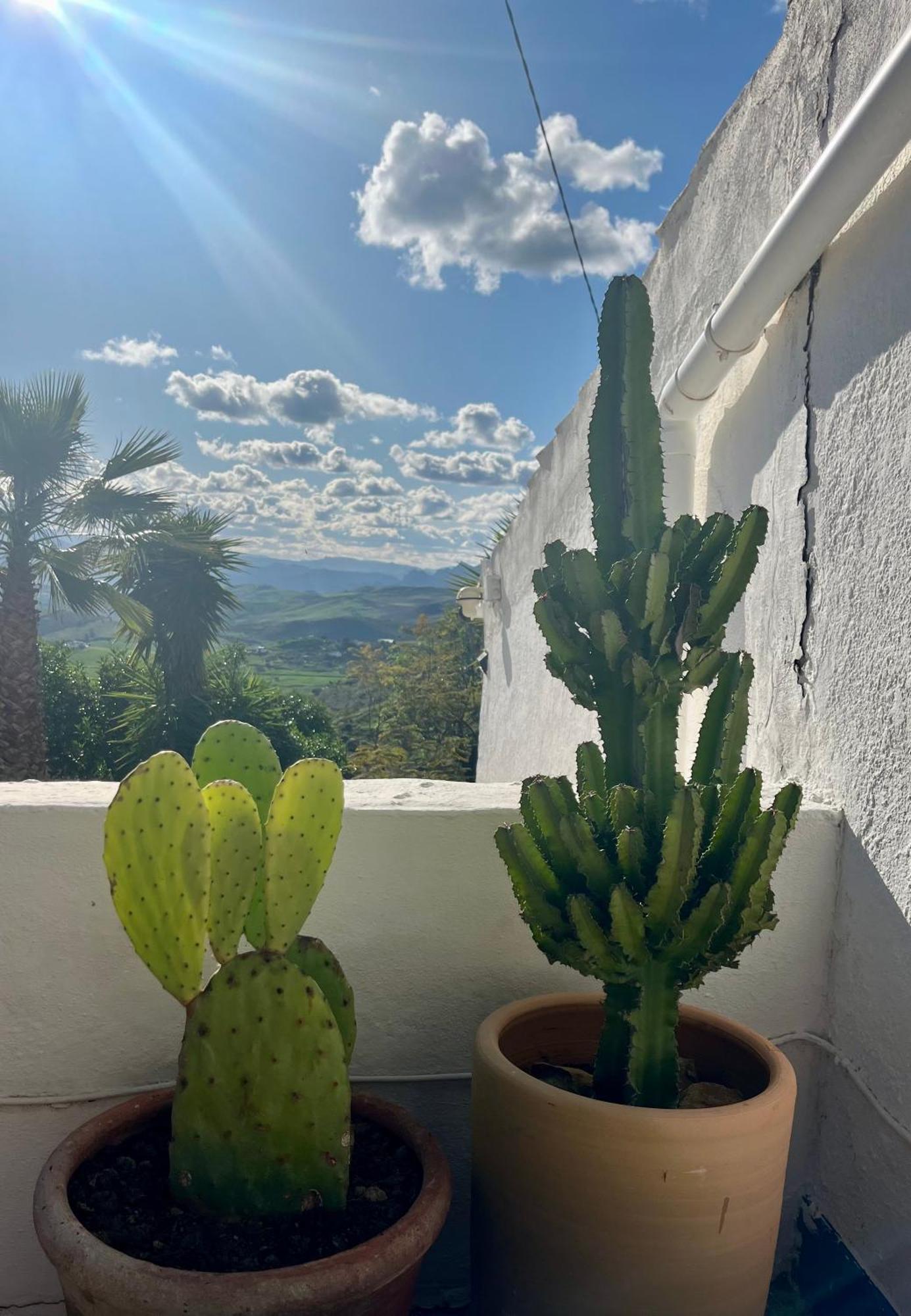 Finca El Sueno Andaluz Villanueva de la Concepción Eksteriør billede